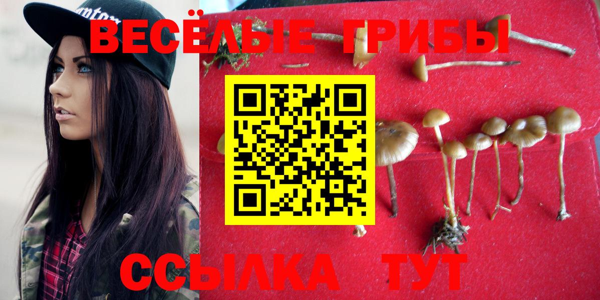 Галлюциногенные грибы Cubensis  Вход с VPN  Батайск  наркота  Псилоцибиновые грибы мухоморы 